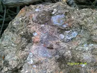 DSCF0514.webp