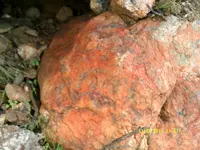 DSCF0515.webp