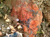 DSCF0516.webp
