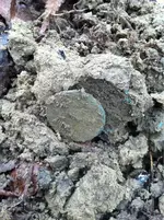 image-3881806603.webp
