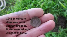 Park finds 1-18-15 032.webp