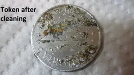 Park finds 1-18-15 039.webp