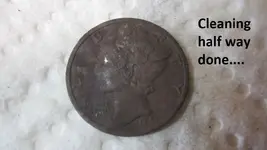 Park finds 1-18-15 040.webp