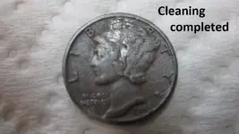 Park finds 1-18-15 041.webp
