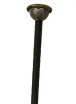 walkingstick.webp