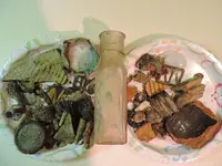 DSCN0154.webp