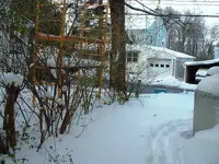 DSCF0006.webp