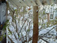 DSCF0007.webp