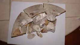 DSCF3124.webp