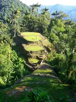 la ciudad perdida de colombia.webp la ciudad perdida de colombia.webp