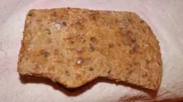 DSCF1176.webp