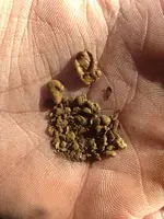 ImageUploadedByTreasureNet.com1422215602.334728.webp