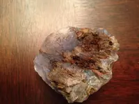 photo 3.webp