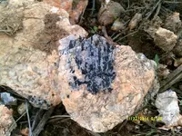 DSCF0513.webp