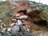 DSCF0530.webp