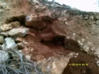 DSCF0531.webp
