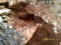 DSCF0532.webp