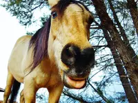 DSCN4022.webp