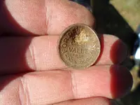 first cw bullet 003.webp