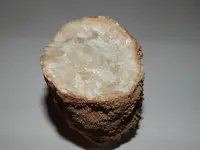 DSCN7824.webp