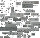 hand writing.webp