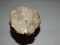 DSCN7827.webp