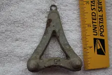 what is it from back yard jan 2015 number 1.webp
