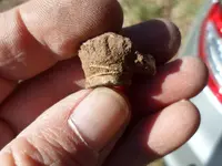 first cw bullet 005.webp
