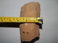 DSCN7831.webp