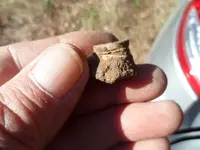 first cw bullet 007.webp