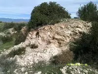DSCF0692.webp