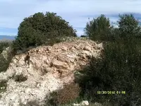 DSCF0693.webp