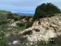DSCF0694.webp