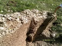 DSCF0695.webp
