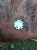 ImageUploadedByTreasureNet.com1419127410.794925.webp