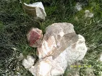 DSCF0704.webp