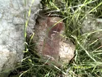 DSCF0705.webp