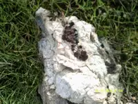 DSCF0707.webp