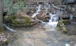 20150104_135517.webp