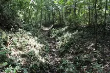 Panama 7Jan15 006.webp