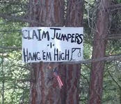 jumper.webp