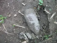 100_9541.webp