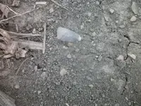 100_9818.webp