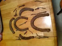 photo 2.webp