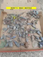 1202GURUGRAY.webp