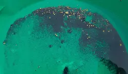 DSC03839-2.webp