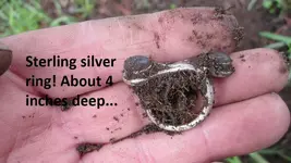 park finds 12-20-14 002.webp