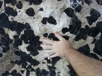 massive_schorl_crystals.webp