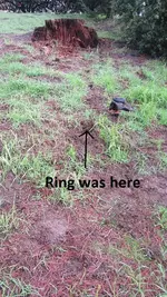 park finds 12-20-14 004.webp