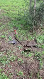 park finds 12-20-14 008.webp